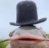 Profile picture of Your average Person